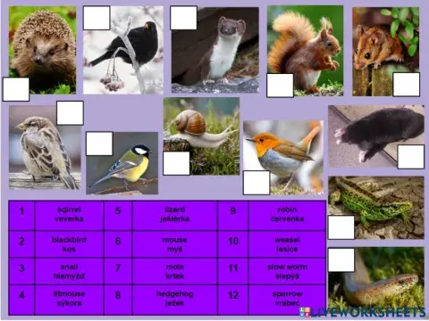 In the garden - animals