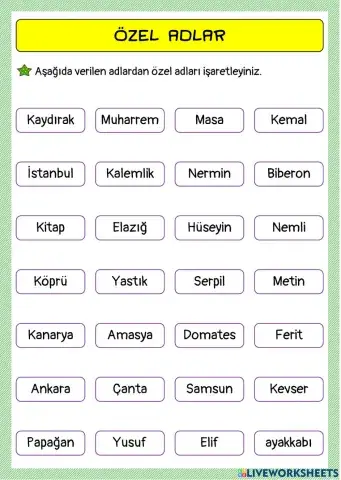 Özel Adlar