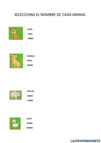 Selecciona el nombre de los animales