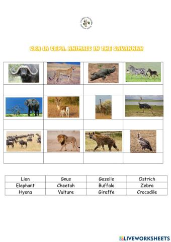 Animals in the savannah
