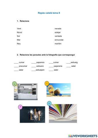 Repàs català tema 8