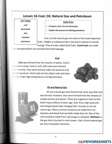 Coal, Oil, Natural Gas, and Petroleum