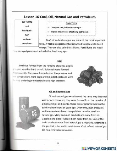 Coal, Oil, Natural Gas, and Petroleum