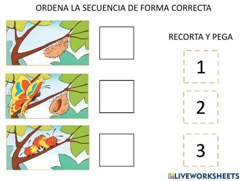 Secuencias temporales