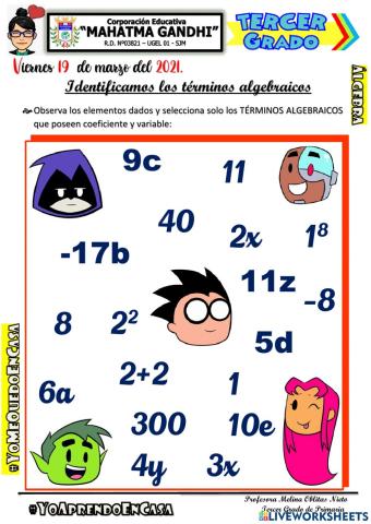 Términos algebraicos