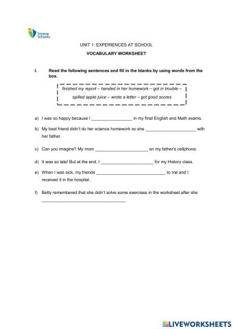 Vocabulary about school experiences