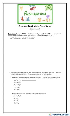 Aerobic Respiration: Fermentation