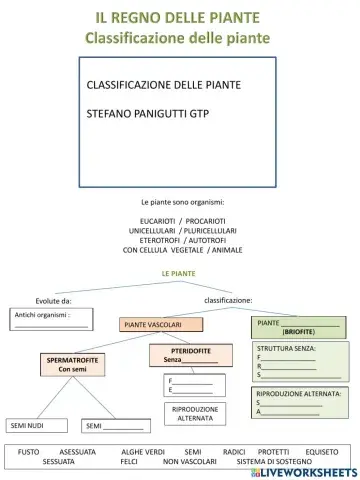 Il regno delle piante