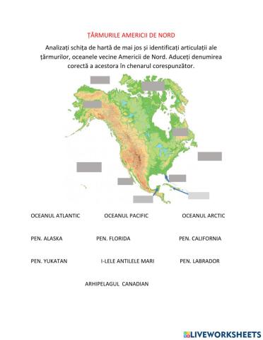 Tarmurile Americii de Nord