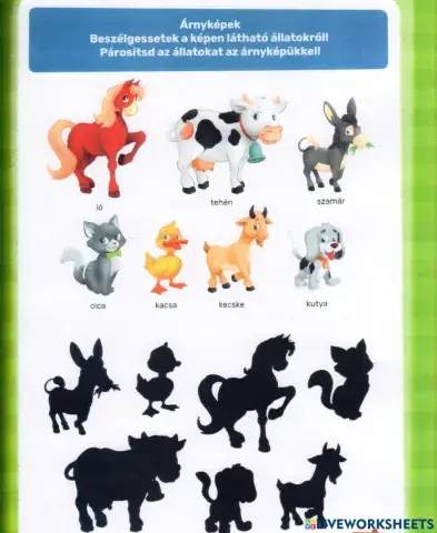 Állatok és árnyképük