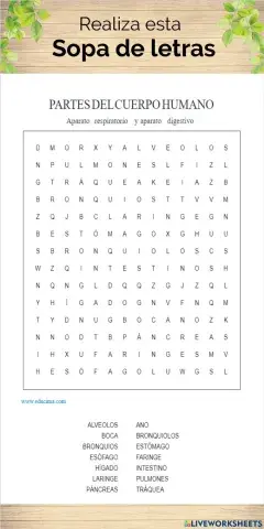 Aparatos digestivo, respiratorio, circulatorio y excretor