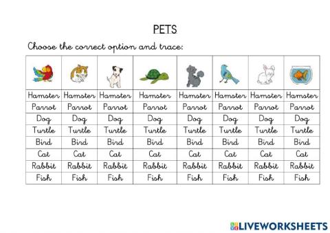 Pets-multiple choice