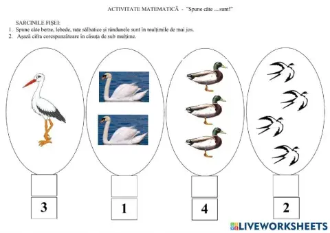 Spune câte... sunt?