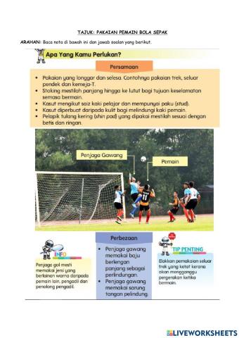 Pakaian pemain bola sepak