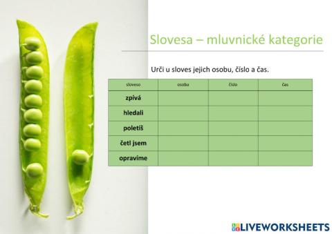 Slovesa - mluvnické kategorie 01