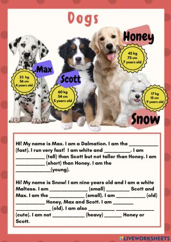 Dogs- Comparative and Superlative