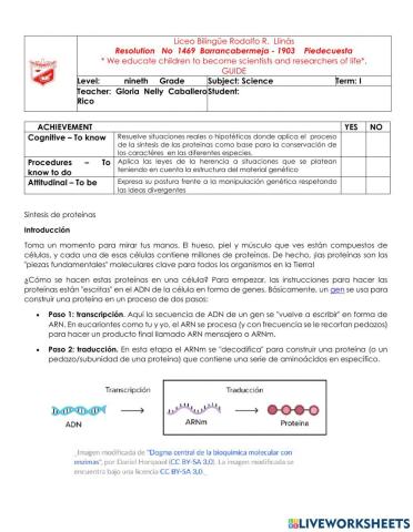 Sintesis de proteinas