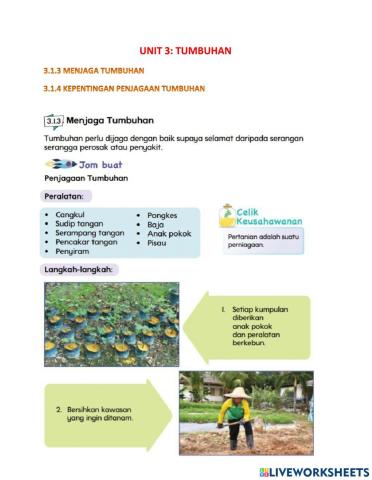 Unit 3: tumbuhan