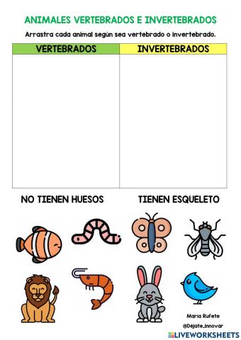 Animales vertebrados e invertebrados