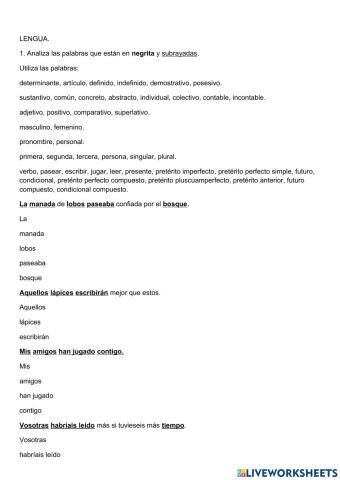 Análisis morfológico y versos