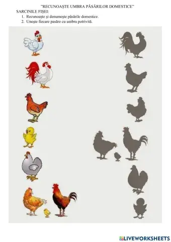 Recunoaste umbra pasarilor domestice