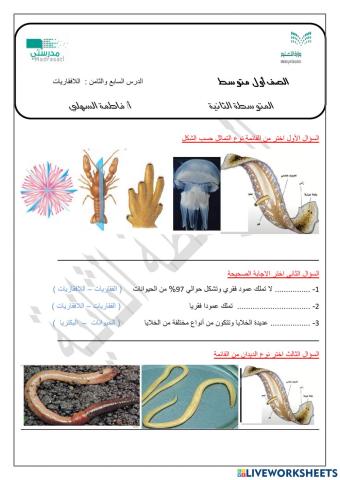 مراجعة اللافقاريات