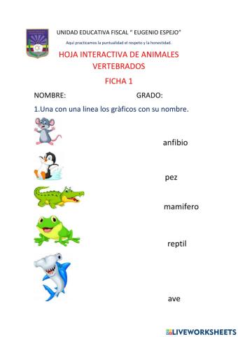 Animales vertebrados