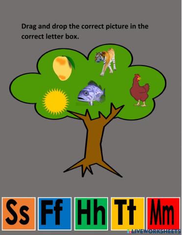 Literacy Test Worksheet