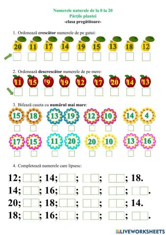 Numerele naturale de la 0 la 20. Părțile plantei