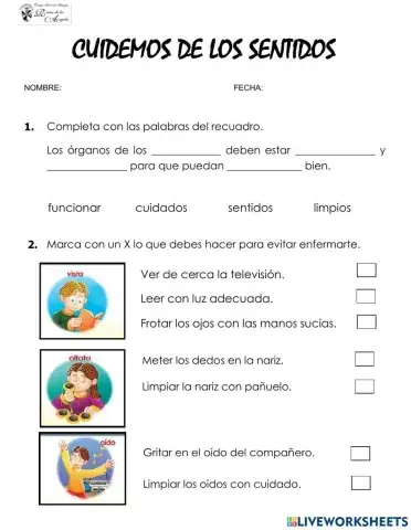 Cuidado de los sentidos