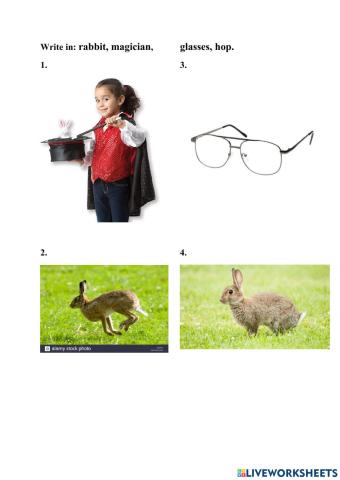 Some words faiyland 3 unit 8b