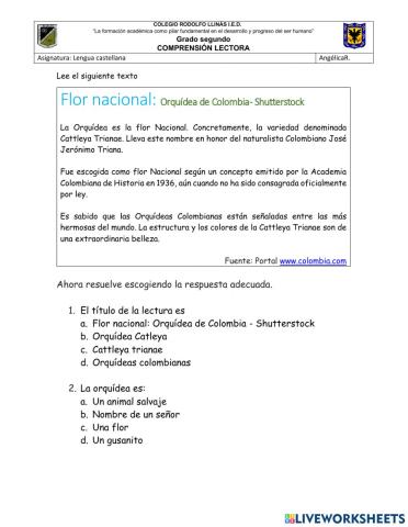 Comprensión de lectura