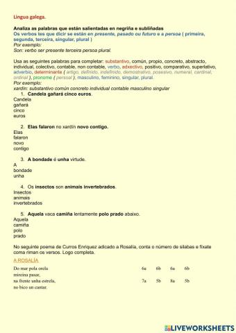 Análise morfolóxico e de poemas