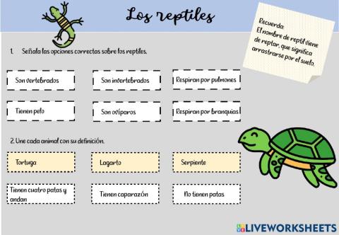 Los reptiles