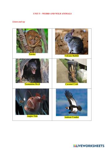 Unit 5 -Weird and Wild Animals