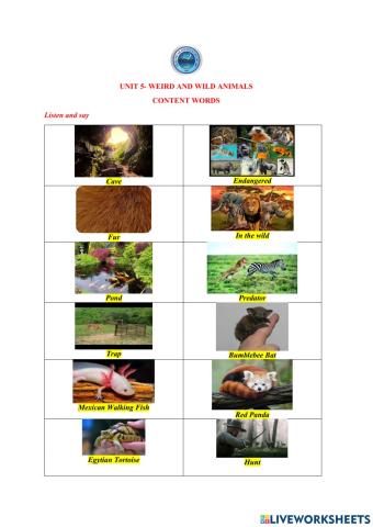 UNIT 5- Weird and Wild Animals -Content Words