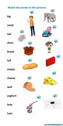 Magic Book - Unit 4- Lesson 1