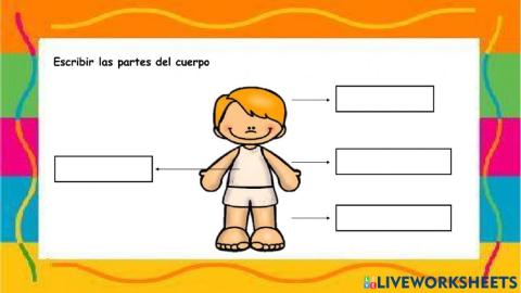 Partes del cuerpo Humano