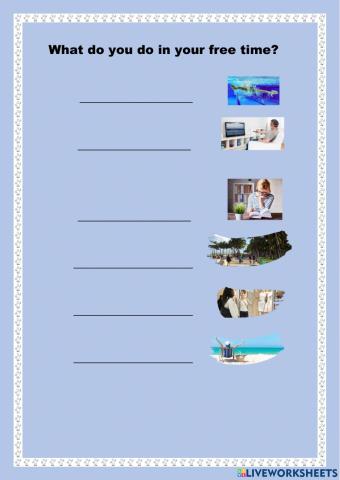 What do you do in your free time?