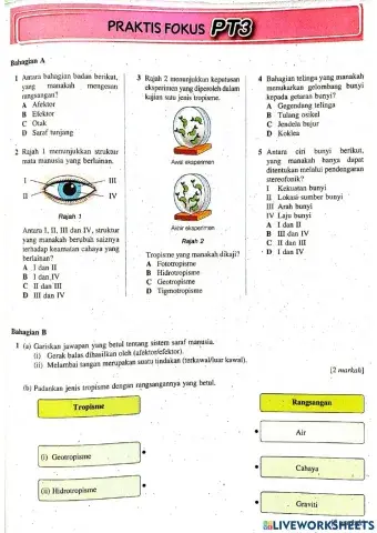 Bab 1 Rangsangan dan Gerak Balas