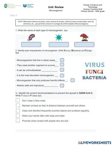 Microorganism Review, class 1