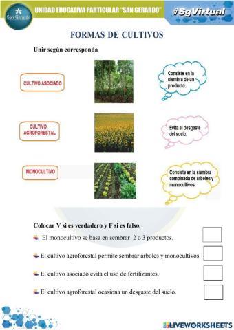 Formas de cultivo