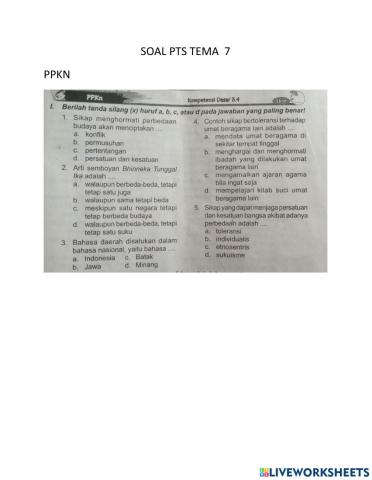 Pts tema 7 ppkn