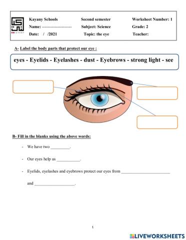 Eyes and hands activity