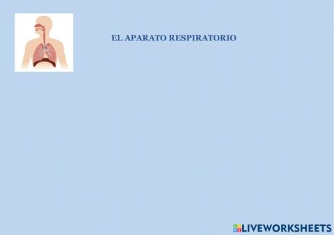 El aparto respiratorio