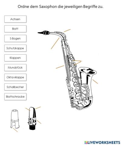 Saxophon - Aufbau und Bestandteile