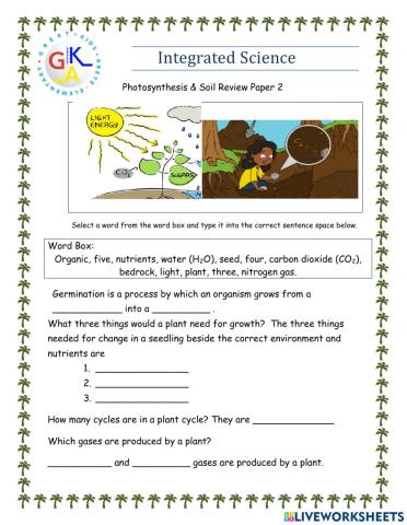 Photosynthesis & Soil Review Paper 2