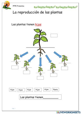 Reproducción sexual