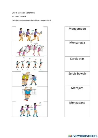 Pjpk asas bola tampar
