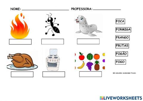 Palavras com a letra F